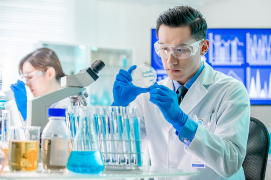 Asian scientist take petri dish