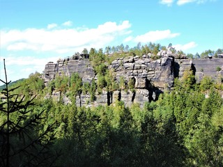 Felsen im Wald