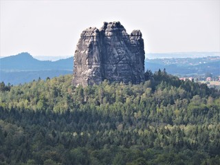 Felsen im Wald