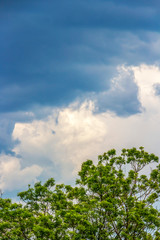 Fototapeta premium Beautiful May sky before a storm, storm clouds over treetops in Sofia, Bulgaria