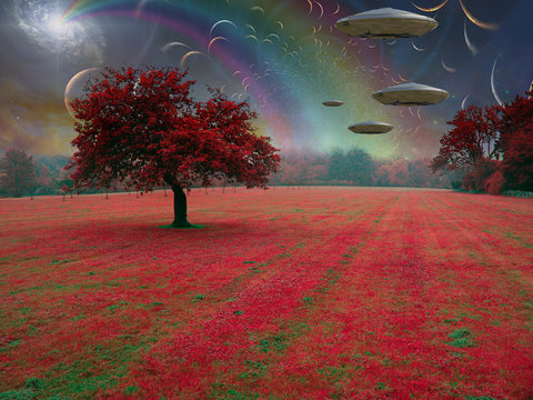 Alien Forest Images Browse 13 220 Stock Photos Vectors And Video Adobe Stock