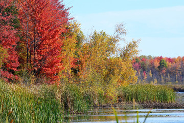 Colorful Autumn Landscape