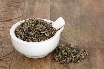 Mousear herb leaf in a mortar with pestle used in herbal medicine to treat bronchitis, whooping cough, asthma and coughs. Can help with fluid retention, intestinal gas & colic. Piloseller officinarum.