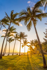 Obraz na płótnie Canvas palm trees on the beach at sunset, Grand’Anse, Réunion 