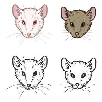 Vector Set of Mouses Portraits.