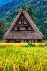 Fototapeta na wymiar 富山県・南砺市 夏の五箇山の合掌造り集落の風景