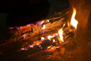 Close-up of a tree burning in a bonfire