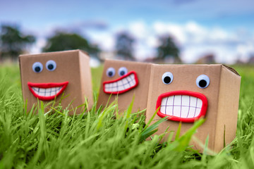 Emoji box. Cardboard boxes on the green grass. Packaging expresses different emotions from content packages. Delivery of perishable products. Food with short shelf life.