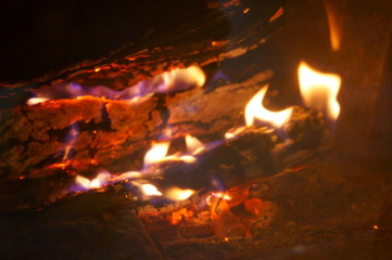 Close-up of a tree burning in a bonfire