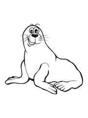 Seehund meer wasser zwinkern lustig schwimmen Pazifik atlantik witzig fisch fressen 1c