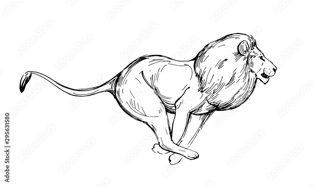 Wall mural lion sketch. hand drawn illustration converted to vector. isolated on white background.