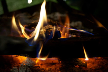 Close-up of a tree burning in a bonfire