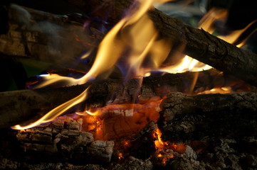 Naklejka premium Close-up of a tree burning in a bonfire