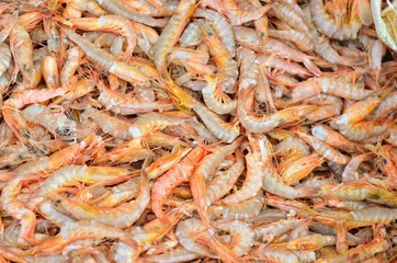 shrimps in the market