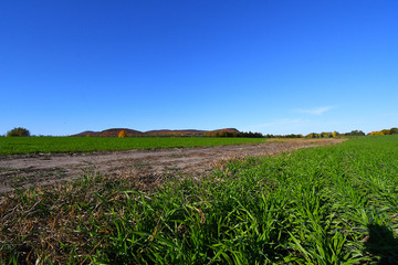 Autumn Landscape with dirt road in foreground