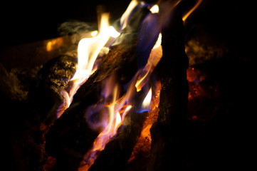 Close-up of a tree burning in a bonfire