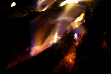 Close-up of a tree burning in a bonfire