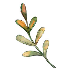 Christmas winter holiday symbol isolated. Watercolor background set. Isolated christmas illustration element.