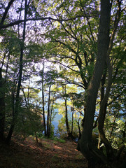 Herbst