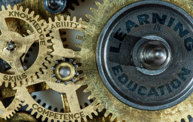 Gears and texts knowledge, competence, skills, learning, education