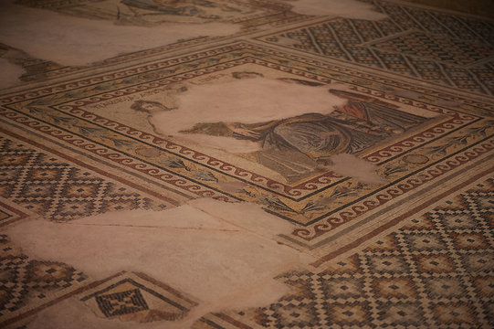 Zeugma m&uuml;zesinden detay
