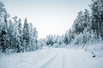 Fototapeta na wymiar Beautiful fabulous winter landscape, the road going through the forest, everything is covered with snow.