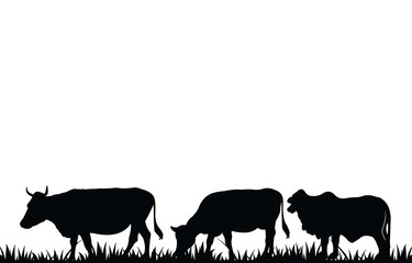 Silhouette of a cow. of farm animals cows isolated on white.