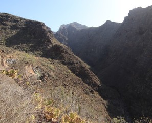 Barranco infierno Tenerife