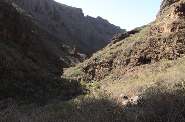 Barranco infierno Tenerife