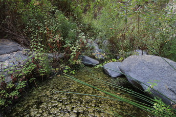 Barranco infierno Tenerife