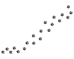 Paw vector foot trail print of cat. Paw dog, puppy, cat vector print, animal, isolated on white background