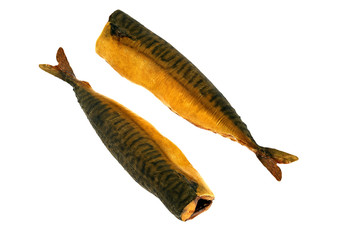 3d render of fishes