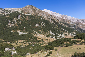 Fototapeta na wymiar Landscape with Vihren Peak, Pirin Mountain, Bulgaria