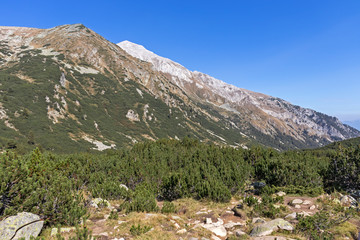 Fototapeta na wymiar Landscape with Vihren Peak, Pirin Mountain, Bulgaria