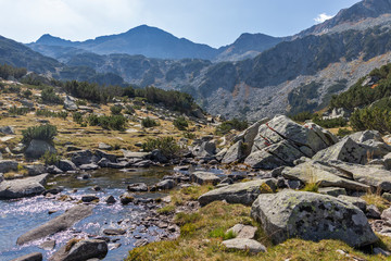 Mountain river and Banderishki Chukar Peak, Pirin Mountain, Bulgaria