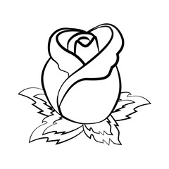 Rosebud flower illustration outline