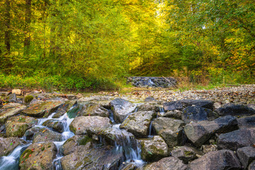 A small creek flowting over stone weir in an autumn colored forest.