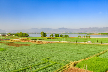 Fototapeta na wymiar Rural countryside view of agricultural land, Dali, Yunnan, China