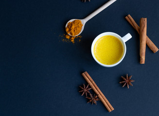 Golden (turmeric) milk in a white cup on the dark background. A spoon with turmeric powder.  Cinnamon and anise.