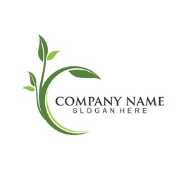 Eco Tree Leaf vector icon Logo Template. isolated on white background