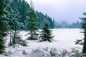 The snow-covered Arbersee with a hut in the fog