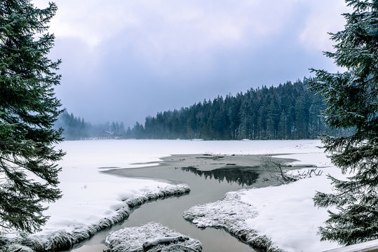 A reflection at the snow-covered Arbersee in fog
