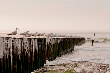 pier on the sea