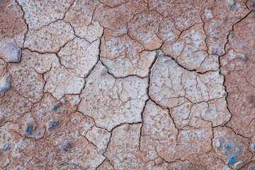 Dry and cracked soil