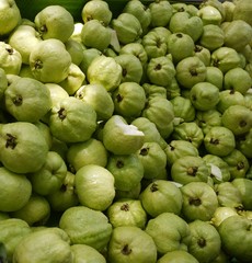 guava