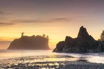 Olympic National Park, Washington, USA