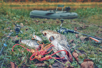 Fishing from an inflatable boat on an autumn river.