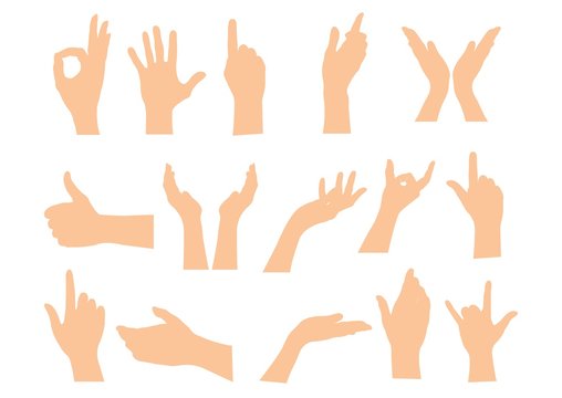 Set of hands showing different gestures isolated on a white background. Vector flat illustration of female and male hands . Isolated flat vector illustration