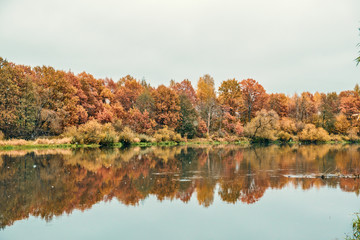 Picturesque autumn forest by the river.