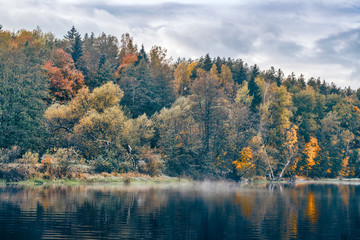 Picturesque autumn forest by the river.